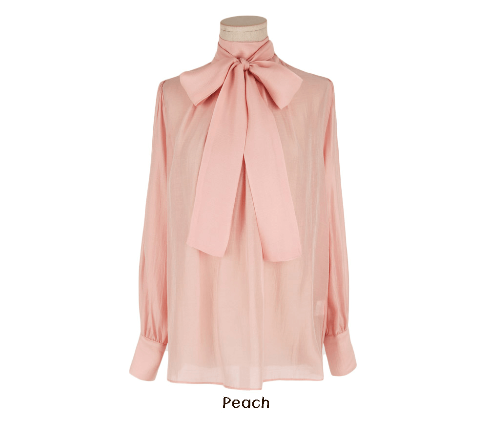 Sheer Elegance Tie-Neck Pintuck Blouse