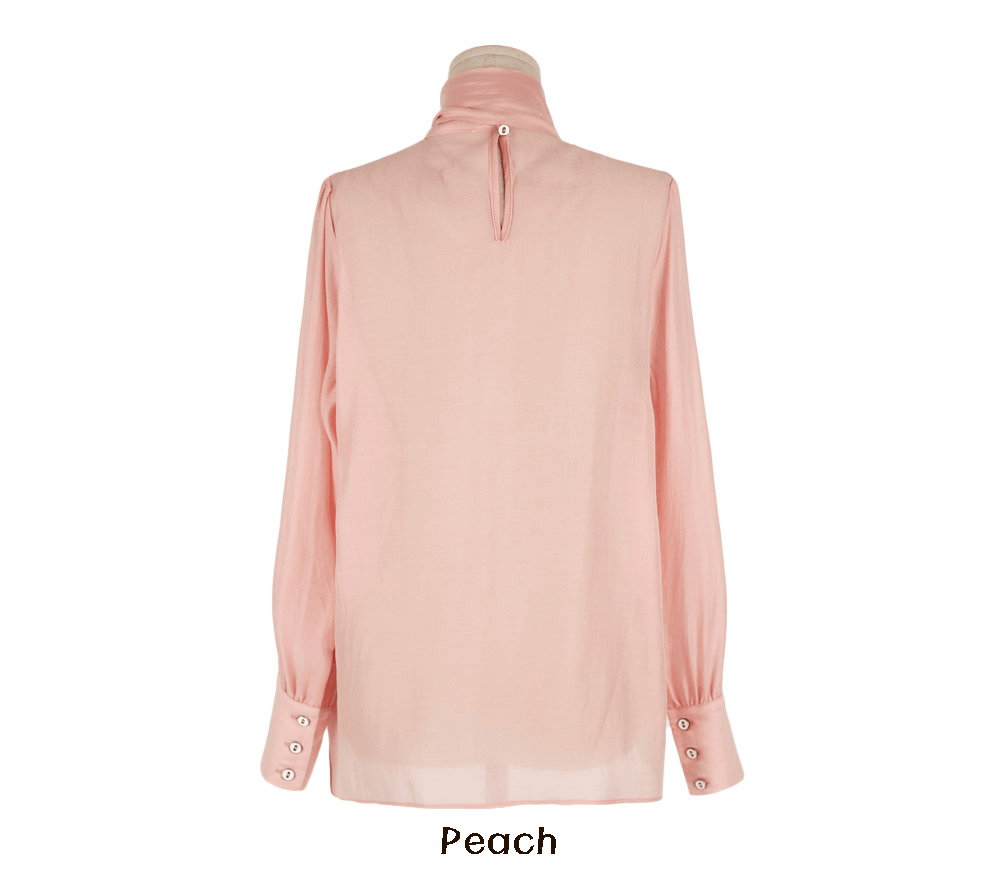 Sheer Elegance Tie-Neck Pintuck Blouse