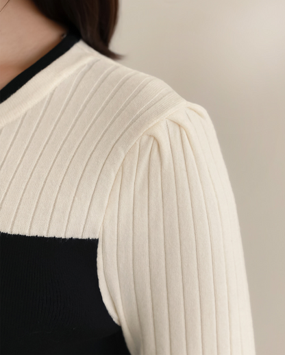 Ivory and Black Color-Blocked Knit Dress