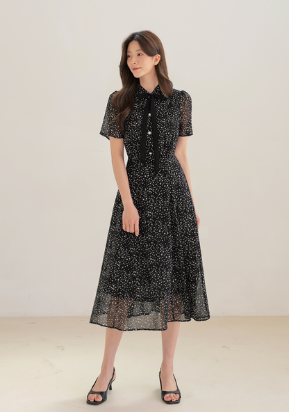 Romantic Chiffon Tie-Neck Dress with Graceful Dot Print