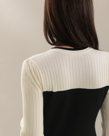 Ivory and Black Color-Blocked Knit Dress