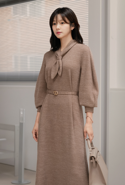 Cozy Tie Neck Belted Knit Dress